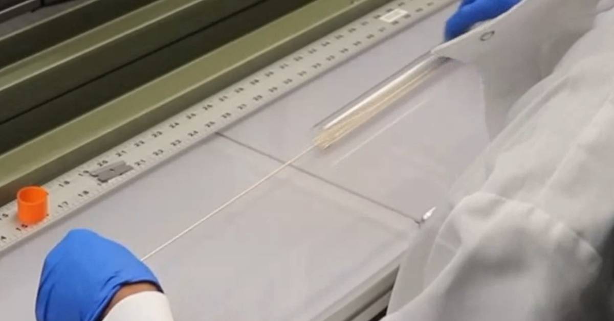 A Step-by-Step Guide to Constructing a Catheter with Filmcast PTFE